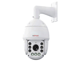 IP CAMERAS